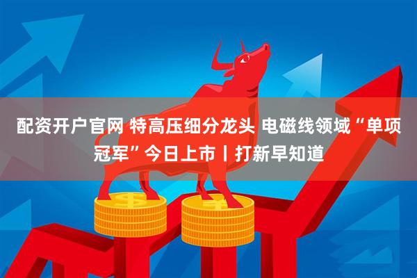 配资开户官网 特高压细分龙头 电磁线领域“单项冠军”今日上市丨打新早知道