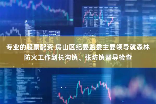 专业的股票配资 房山区纪委监委主要领导就森林防火工作到长沟镇、张坊镇督导检查