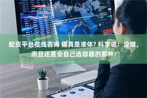 配资平台在线咨询 猫真是液体? 科学说：没错，而且还是会自己选容器的那种!