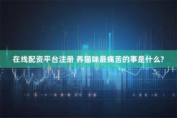 在线配资平台注册 养猫咪最痛苦的事是什么?